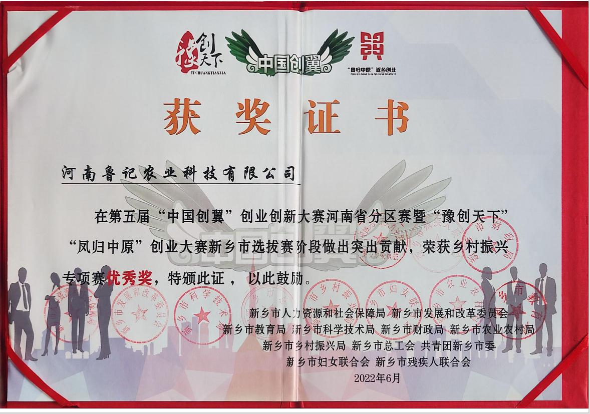 政府颁发获奖证书